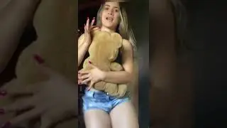 SÓ NO FORROZINHO NORDESTINO COM SHAYANE DIAS #shorts