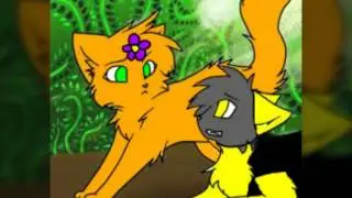 Кора и Янтарь - Ты моя любовь♡