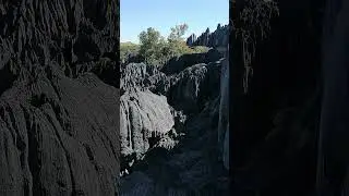 Природный заповедник и каменный лес Цинги де Бемараха, Мадагаскар #shorts