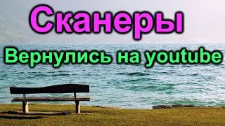 Сканеры. Вернулись на youtube. Жизнь в Америке /Vlog /
