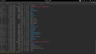 The 'LS' Command in Linux!
