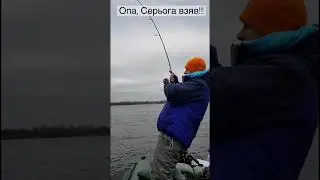 Оце покльовка «віддай спіннінг!» 😂 #shorts #рибалка #рибалка2022 #поклевка #спиннинг #фрикцион