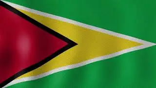 Guyana Flag 2024 #GuyanaFlag#RedWhiteGreenYellow#SouthAmericanFlag#GuyanesePride#NaturalResources