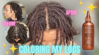 Dying My Locs || Clairol Beautiful Collection Semi-Permanent Hair Color