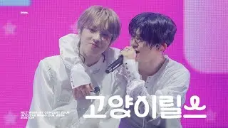 [4K] 251129 고양이릴스 #사쿠야 #SAKUYA #NCTWISH @ #INTOTHEWISH : #OurWISH