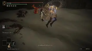 ELDEN RING Needle Knight Leda Boss fight