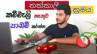 Pomodoro Technique sinhala | Study tips sinhala | Time management | how to study for exams