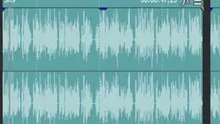 Sony Vegas's audio works APPARENTLY, but is actually silent.
