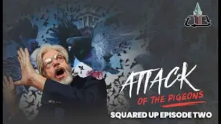 “Squared Up” Episode Two - Attack of the Pigeons