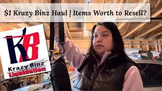 $1 Krazy Binz Haul | Items Worth to Resell?