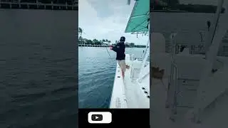 GIANT FISH BRAKES ROD WOW!!!😂🔥