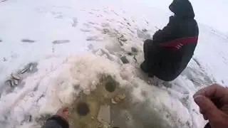 Зимняя рыбалка на печенегах 2014.02.10.
