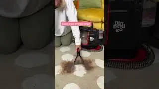Clean stains off of any carpet🤩 #cleanhome #cleanhomehappyhome #carpetcleaning #cleaning