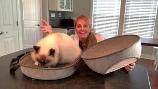 Doc & Phoebe Compilation