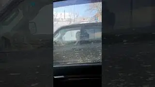 Pajero 4.Кого я встретил
