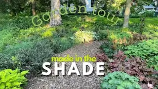 Tour a shade garden 20 years in the making
