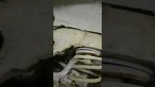 Киа спортэйдж