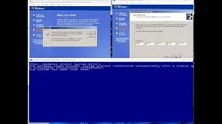 Windows xp frenzy