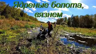 Ядреные болота, топь, вязнем