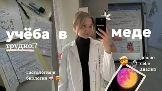 ТЯЖЁЛЫЕ БУДНИ В МЕДЕ || ПЫТАЮСЬ УСПЕТЬ ВСЕ И НЕ ПОЛУЧИТЬ 2 🥲🤯