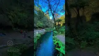 Fotos tomadas con iPhone 11 
