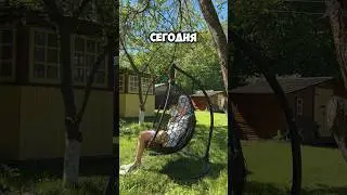 А у вас как день прошел?😁 #shorts #юмор #природа #приколы
