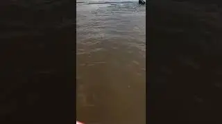 жара☀Рыбалка охота ягдтерьер 🦡