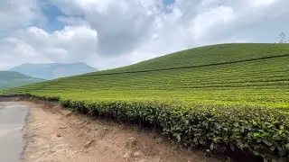 (350) Eravikulam National Park - Kerala