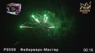 Р9099 Фейерверк Мастер 1,2х 49 зарядов