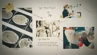 Science Project Presentation: (Mogrt) Premiere Pro template