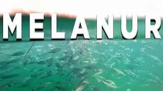 KİLİTBAHİR BALIK KAYNIYOR !!! YER GÖK BALIK  ( Yakala Pişir , Balık Burger Nasıl Yapılır )