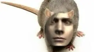 I turn into a confused African monkey and drown for 6 minutes