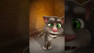 Funny tom