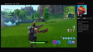 Fortnite playing season 5