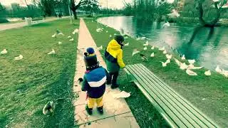 Zürich 🦆