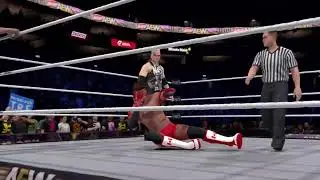 WWE Universe: AEW