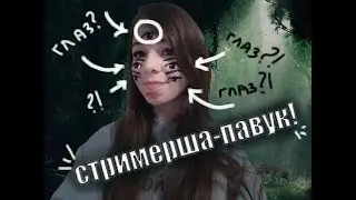 СТРИМЕРША-ПАВУК