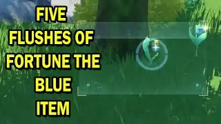 GENSHIN IMPACT | FIVE FLUSHES OF FORTUNE | THE BLUE ITEM