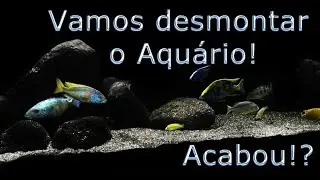 120°- Vamos desmontar o aquário de ciclídeos africanos!