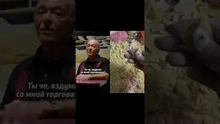 👍 У этого мужика просто стальные нервы #сериал #кино #фильмы