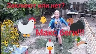 2 сентября 2020 г. Гуси атакуют. А я их боялся😁 . Укусят или нет. зверьё не моё