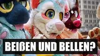 Furries ÜBERNEHMEN Schule in Amerika - Demonstration