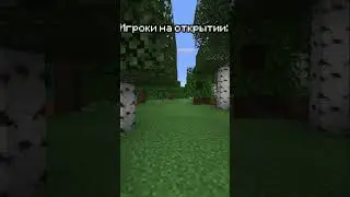 Игроки на сервере, тем временем Админ... #майнкрафт #minecraft #сервер #minecraftshorts #discord #rp
