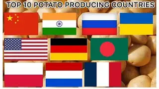 Top 10 potato producing countries in the world 2020