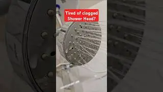 How to clean Shower Head | Tips & Tricks 23 | 