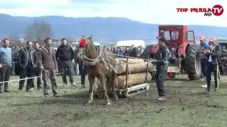 ВИДЕО: Конни състезания на Тодоровден е Гоце Делчев