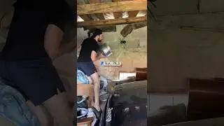 Поймал матку паука