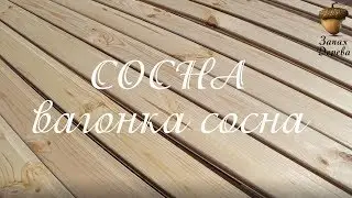 Вагонка сосна: деревянная вагонка от производителя