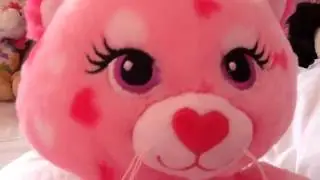 Petals cam - Petals and Kitty cam (Kitty joining)