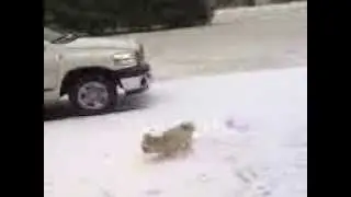 1 7 10tyler throwin snow